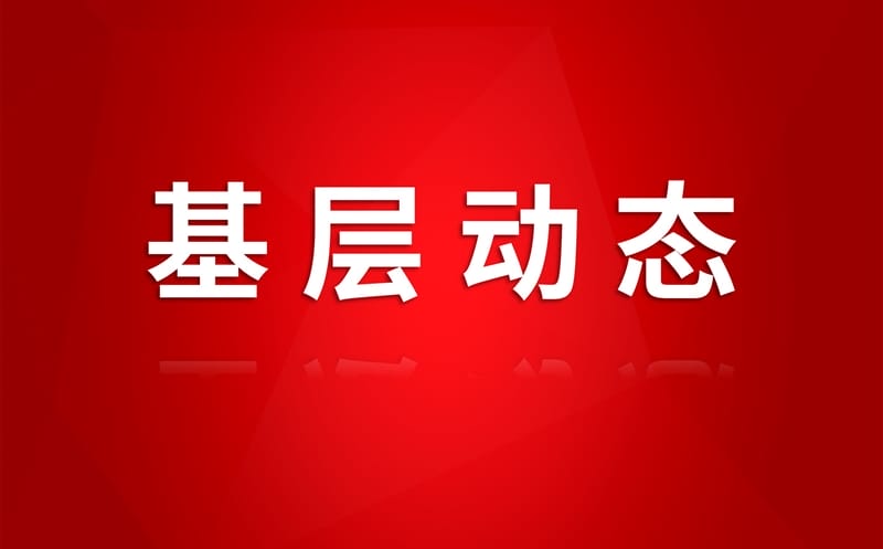 四川黄金集团各项目部开展 “庆七一”主题党日活动