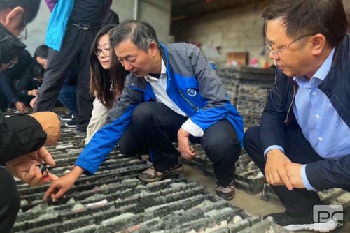 地矿集团下属单位地调所肩负的攀西槽上——营盘山有数稀土找矿靶区查证工程项目野外验收喜获优异_下层动态_外围正规开云登录_尊时凯龙有限责任公司